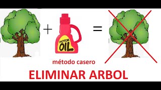 Como eliminar árbol con aceite usado de motor how to kill a tree whith Oil car ideas de casa diy [upl. by Llig495]