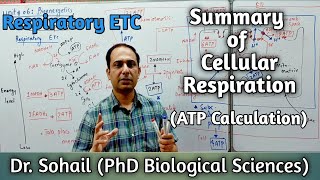 Respiratory chain amp Summary of Cellular Respiration  ATP Calculation  11th Biology  MDCAT Biology [upl. by Asseret862]