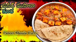 Paneer Masala Curry  Easy Method  Recipes in Telugu  Mana Intlo Youtuber [upl. by Manella69]