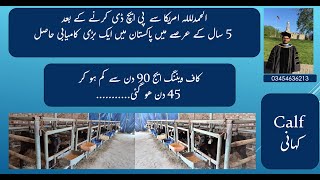 Success story in Calves کاف ویننگ ایج 90 دن سے کم ہو کر 45 دن ھو گئی dairycalves earlyweaning [upl. by Ellehcor]