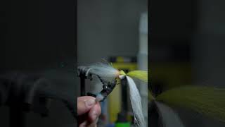 Baja Saltwater Streamer Fly Tying Session 4 [upl. by Marlon619]