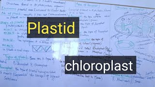 Plastidchloroplastchromoplastleucoplastpashto Detail lectures [upl. by Shultz306]