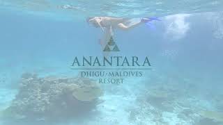 Underwater World of Discovery at Anantara Dhigu Maldives Resort [upl. by Sexela434]