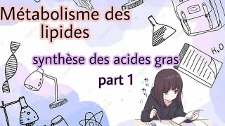 Métabolisme des lipides  lipogenèse synthèse des acides gras part 1 [upl. by Irneh]