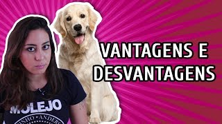 8 VANTAGENS E DESVANTAGENS DE TER UM CACHORRO [upl. by Lanam591]