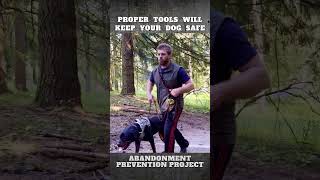 Tools are not only to keep your Dog Safe but to keep EVERYONE Safe [upl. by Woodsum]