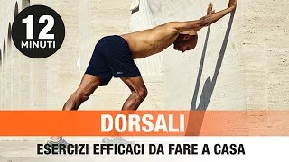 DORSALI ALLENAMENTO A CASA [upl. by Kriss]