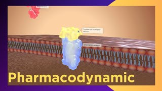 PHARMACODYNAMICS What drug Does on the Body [upl. by Laehcor]