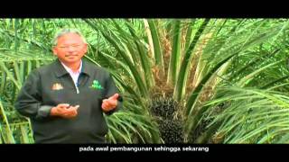 All Cosmos Industries RealStrong Television Commercial Bahasa Melayu 2 [upl. by Rebliw]