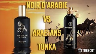 NOIR D’ARABIE VS ARABIANS TONKA [upl. by Haridan]