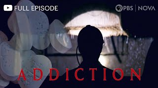 Meditations Impact on the Brain  Documentary Clip [upl. by Enawd540]