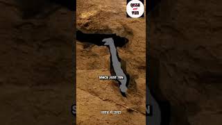 The Nutty Putty Cave Rescue Cave Exploring Gone Wrong In Hindi [upl. by Longmire]