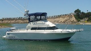 26 Skipjack Sport Fishing Walk Thru Tour  South Mountain Yachts [upl. by Ardnyk460]