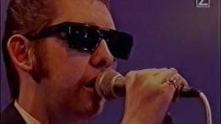 Shane MacGowan and The Popes  Donegal Express Live [upl. by Cummine745]