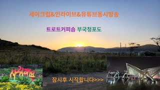 제121회2월18일일요일트로트커피숍부국청포도🌹구독좋아요👍알림설정� [upl. by Andres]