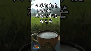 【心靈一點點】 EP481 funnyfunny93正能量 人生感悟 情感心靈一點點 心靈雞湯 心靈勵志語錄 心靈舒果 心靈安慰 心理 心灵法门 [upl. by Ayanat361]