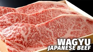 Japans Most Expensive Beef  Wagyu [upl. by Juna]