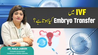 Understanding Embryo Transfer A StepbyStep Guide [upl. by Ellerd]