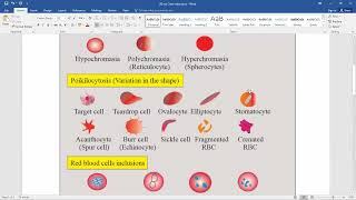 Lab Technician Recruitment training class on Haematology Cell counts [upl. by Shena]