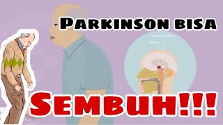 Bagaimana Terapi Penyakit PARKINSON  II Apakah Parkinson BISA SEMBUH parkinson [upl. by Lowndes457]