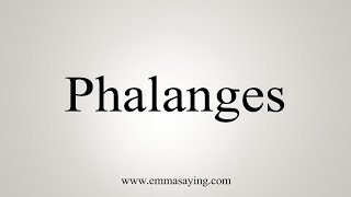 How To Say Phalanges [upl. by Sontag]