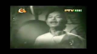 Hum Mustafavi Hain By Mehdi Zaheer [upl. by Ativ]