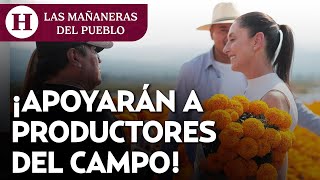 Resumen de la Mañanera del 22 de octubre 2024 Gobierno presenta el plan de soberanía alimentaria [upl. by Elleuqar401]