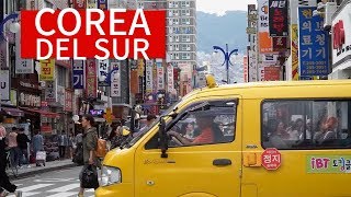 Mi viaje a Corea del Sur descubriendo Busan  Viaje a Corea del Sur 1 [upl. by Natty]