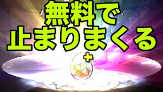 溜めまくったスーパーゴッドフェスを全開放する男【パズドラ】 [upl. by Atsirhc]