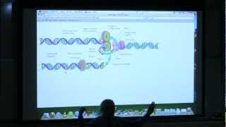 16 BB 350 DNA Replication I  Kevin Aherns Biochemistry Online [upl. by Favianus612]