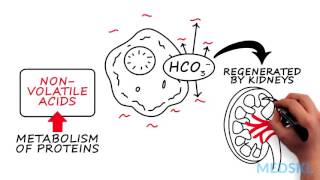 Nephrology – AcidBase Abnormalities By Bernard Unikowsky MD [upl. by Ymorej]