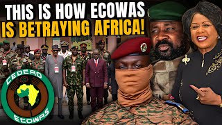 Dr Arikana Has Exposes ECOWAS As Its Puppet France [upl. by Einahteb]