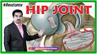 HIP Joint Anatomy Animation  Ligaments Movements Blood supply Nerve supply  USMLE Step 1 [upl. by Claudia]