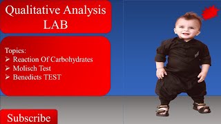 Qualitative Analysis  Reactions Of Carbohydrates  Molisch Test  benedicts Test  Bochemistry [upl. by Atinreb]