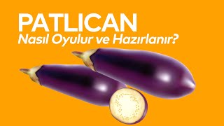 Patlıcan Nasıl Oyulur ve Hazırlanır [upl. by Pulchia]