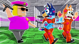 Escape From The Kiss Police in Roblox  Bluey Bingo and Friends  Bluey [upl. by Miksen281]