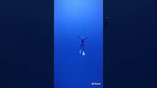 WHALES So many SINGING whales hawaii whales diving freediving [upl. by Dnomyad107]