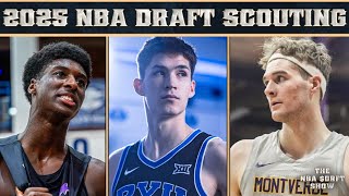 Liam McNeeley Egor Demin and Drake Powell 2025 Preseason NBA Draft Scouting Breakdown [upl. by Nai]