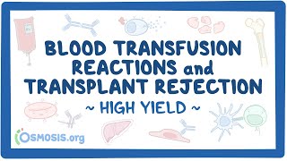 Blood transfusion reactions and transplant rejection Pathology Review [upl. by Sugden]