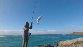 Hi Sydney Wollongong windang rock fishing [upl. by Terrab]