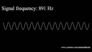 20Hz to 20kHz Human Audio Spectrum [upl. by Ateuqahs]