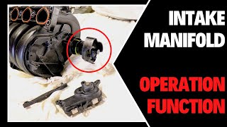 How An Intake Manifold Operates [upl. by Pliske]