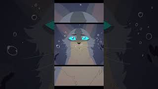 Warriors edit warriorcats erinhunter warriors edit bluestar [upl. by Limaa]