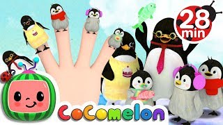 Finger Family Songs  CoComelon Nursery Rhymes amp Kids Songs [upl. by Eirolav]