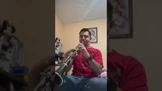 🎶Tabaco Mascao🎶Solo De Clarinete🍓Banda Fresa🍓 clarinete bandafresa SoloDeClarinete [upl. by Morvin18]