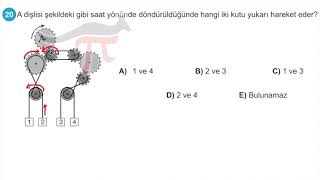 Kanguru Matematik 2023 Benjamin 20 [upl. by Cohligan931]