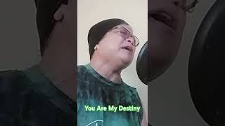 You Are My Destiny Cover by Antonio Badajos [upl. by Ssor]