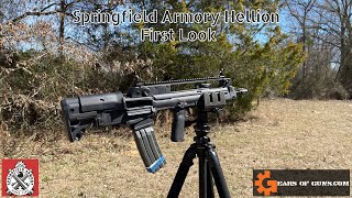 Springfield Armory Hellion First Look [upl. by Dash196]