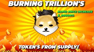 DOGELON MARS THE GREAT BURN  MASSIVE TOKEN BURN FROM CIRCULATING SUPPLY  MEMECOIN BULL RUN 2025 [upl. by Perr420]