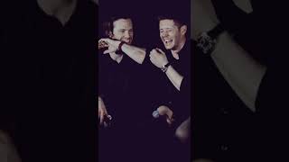 JensenJaredMisha being kids like usual 😂 [upl. by Dijam]